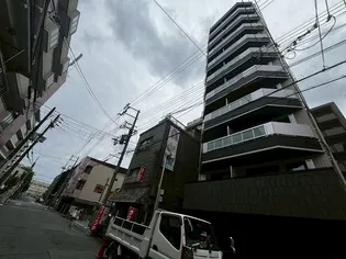 イーセ ビアン灘の画像