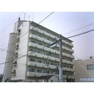 トゥエルブイナバソウの画像