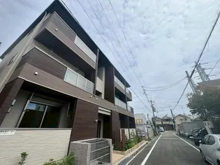 シャインの画像