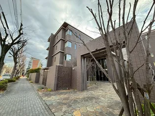 アミスターの画像