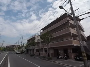 アンピエスぜんの画像