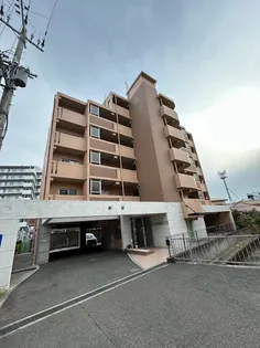 ノルテ舞子の画像