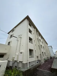 パールハイツ【3階】の外観