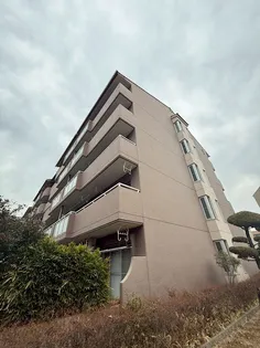 サンハイツ貴崎5号棟の画像