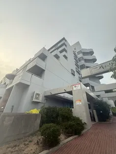 ハイムアゼーリア【7階】の外観