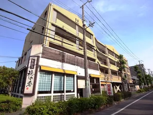 サイプレスの画像