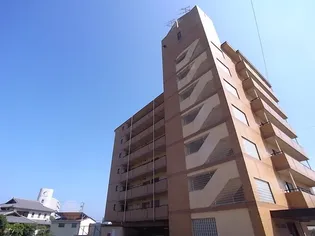 アーバンエルフの画像