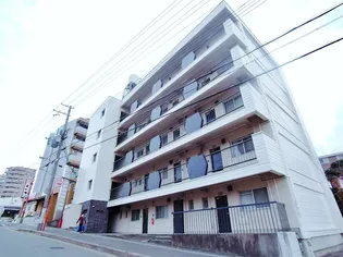 ソフィア朝霧の画像