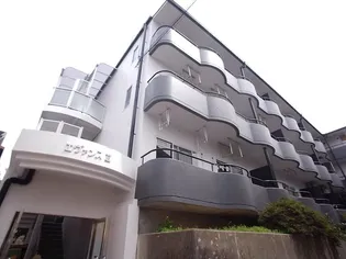 エヴァンスIIの画像