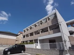 フェリーチェスの画像