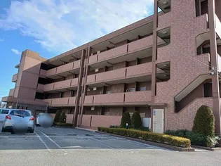 TKエレガンテの画像