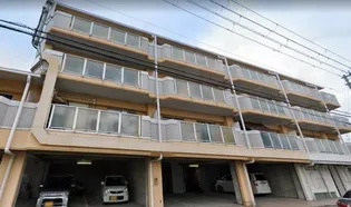 ブリスフタミの画像