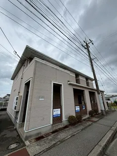 セレッソ八木の画像