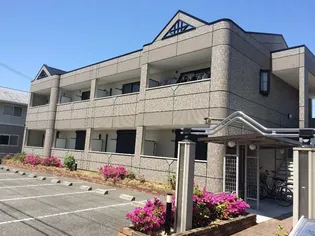 VIDA CRECIAの画像