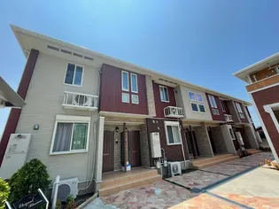 エレガントブロッサムの画像