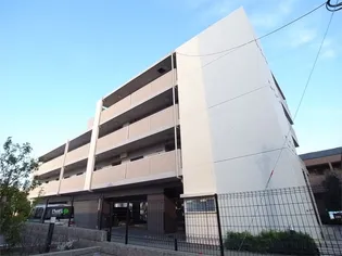 ソレイユ アリセの画像