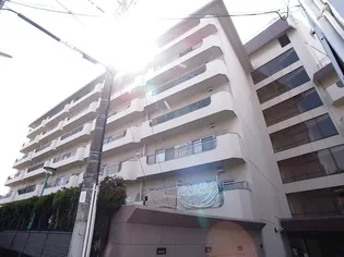 ユニ舞子の画像