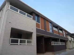 フリージアの画像