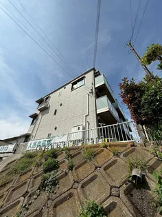 ウィルディコートIの画像