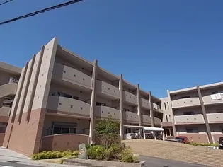 パストラルメゾン グランの画像