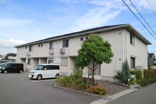 キャンフル ローレルの画像