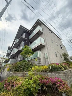 シャーメゾン茜の画像