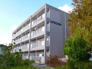 エグゼカーサの画像