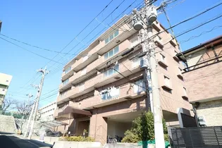 シャン クラージュの画像