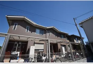 シャルマンの画像