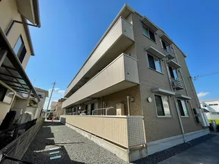 ステラコートIIIの画像