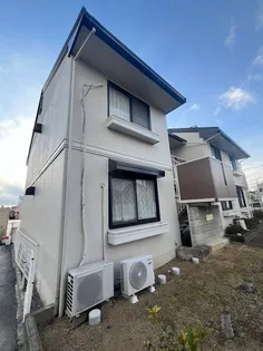 パインファミールの画像