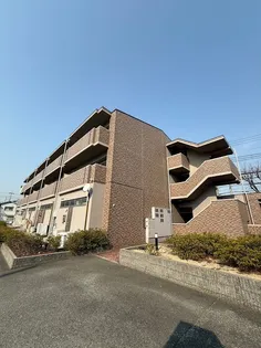 ピュア プルーンの画像