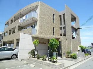 ソル イ ソンブラの画像