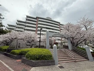 ラ メール狩口Ⅲの画像