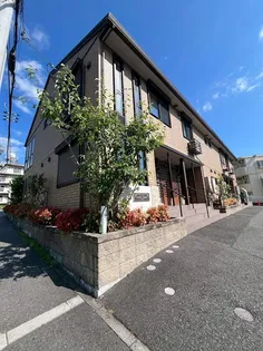 SUNNY GABLESの画像