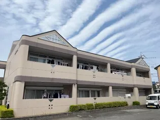 カステルBの画像