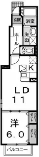 マロングレイス【1階】の間取り