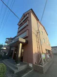 サンフラワー貴崎の画像