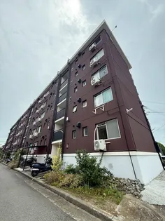 高津橋農住団地D棟の画像
