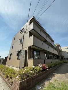 グラシアスの画像