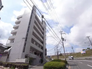 ホワイトヒルの画像
