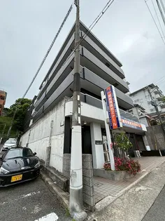ヴァーチュアス朝霧の画像