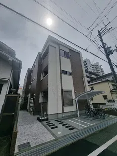 ステラ Yの画像