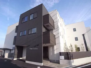 BLUE GRASSの画像