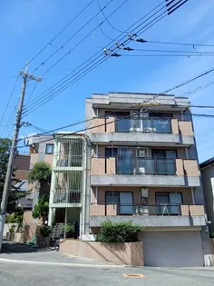 メゾンサクラ【1階】の外観