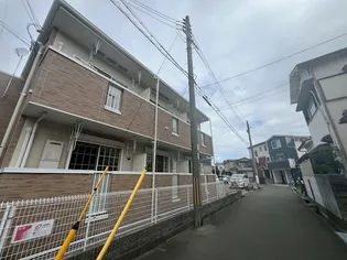 シス アムールの画像