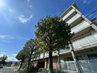 ボヌールソシア【4階】の外観