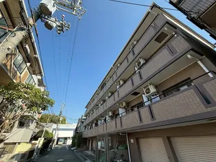 コージ コート クイセの画像