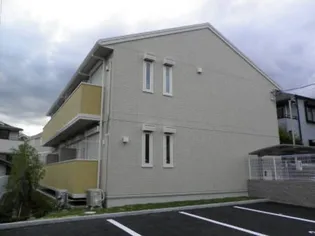 アイリスの画像