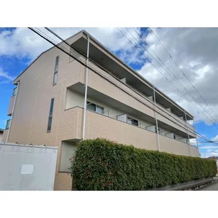 アンプルールフェールフリージアの画像